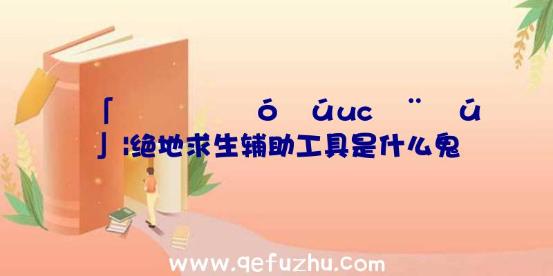 「¾øµØÇóÉúuc¸¨Öú」|绝地求生辅助工具是什么鬼